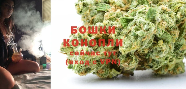 дурь Арсеньев