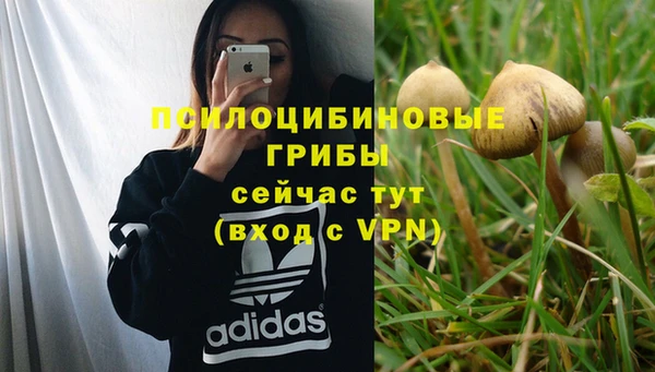 MESCALINE Армянск
