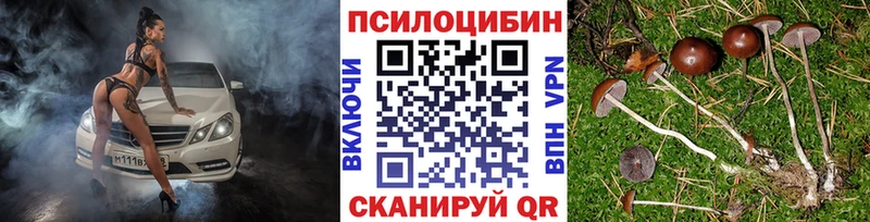 гидра вход  Пустошка  Галлюциногенные грибы Magic Shrooms 